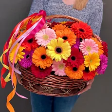 45 Разноцветных Гербер в корзине