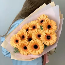 11 Оранжевых Гербер