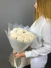 15 Кремовых диантусов