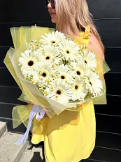 Герберы и матрикарии