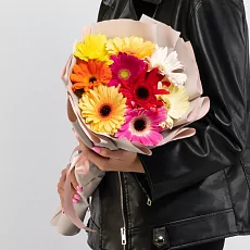 9 Гербер Микс в упаковке