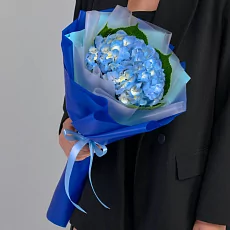Букет из Синей гортензии в упаковке 