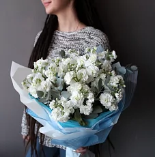 17 Белых Маттиол в упаковке