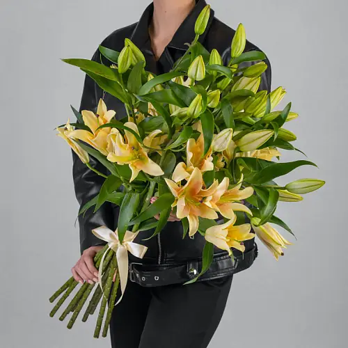 11 Кремовых Лилий