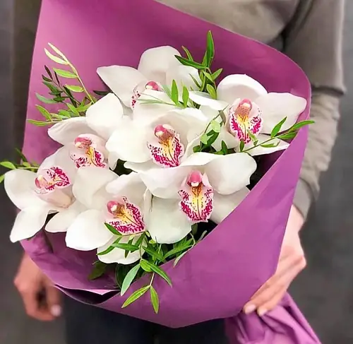 7 Белых Орхидей