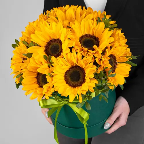 11 Подсолнухов в шляпкой коробке