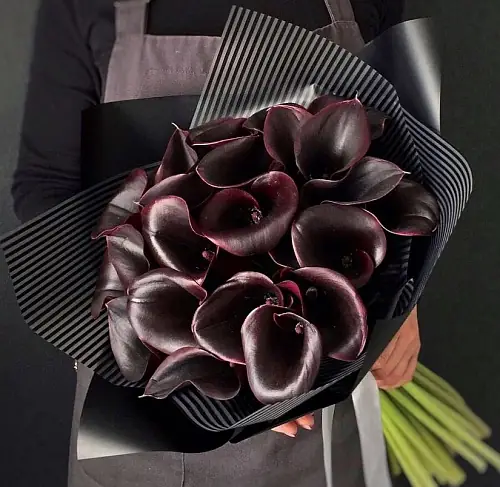 25 Бордовых Калл