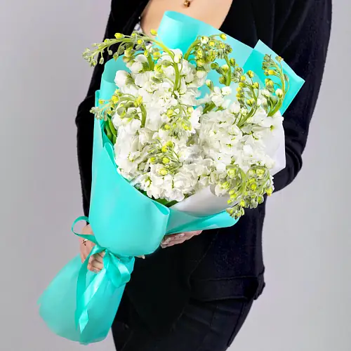 11 Белых Маттиол в упаковке