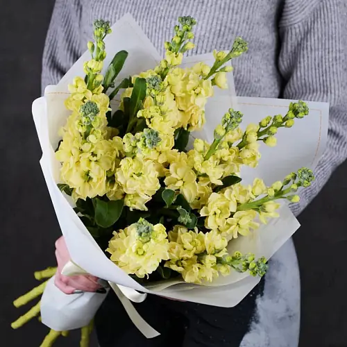 Букет "11 Желтых Маттиол"