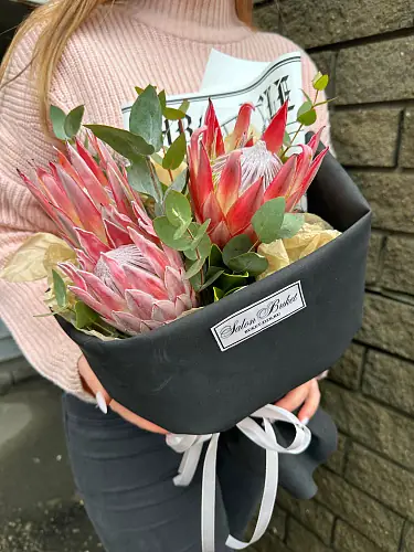 3 Протеи с эвкалиптом 