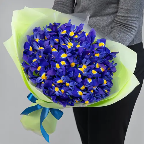Букет из 29 Синих Ирисов