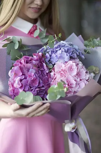 3 Разноцветные Гортензии в дизайнерской упаковке