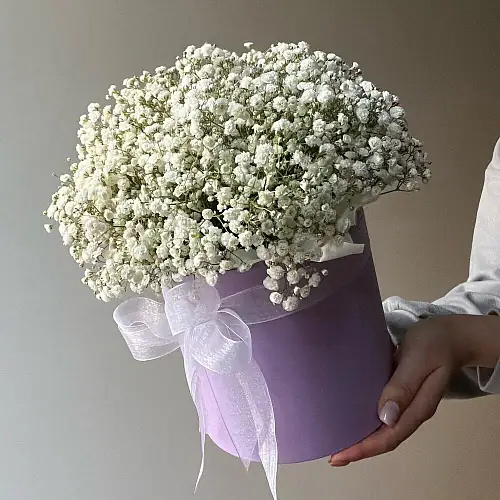 Композиция гипсофила белая