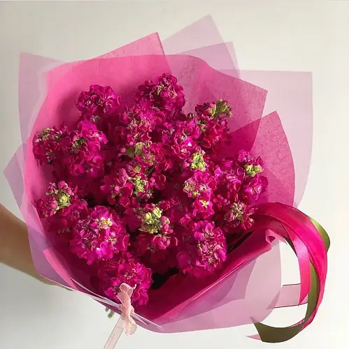 17 Малиновых Маттиол в упаковке 