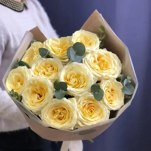 11 пионовидных роз с эвкалиптом 