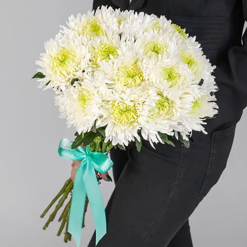 15 Игольчатых Хризантем