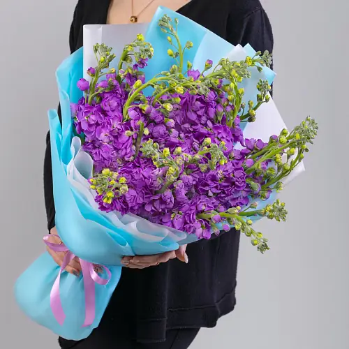   19 Фиолетовых Маттиол в упаковке