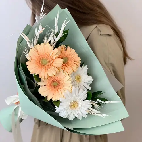 5 Разноцветных Гербер в упаковке