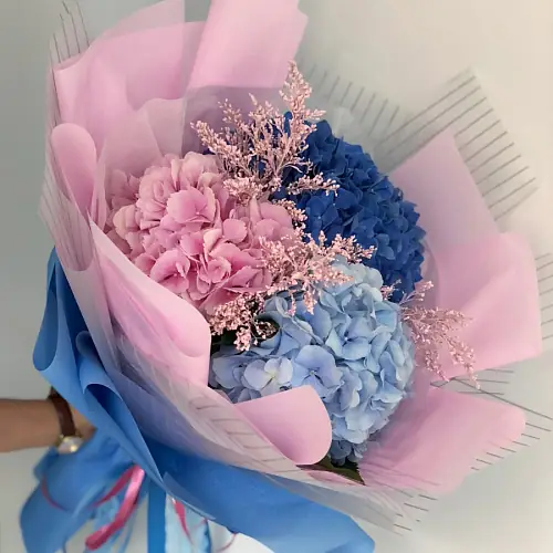 3 Гортензии Микс