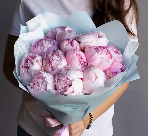 13 Пионов Сара Бернар в упаковке 