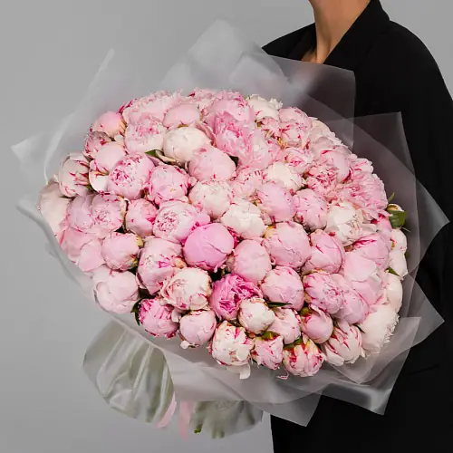 101 Пион Сара Бернар в упаковке