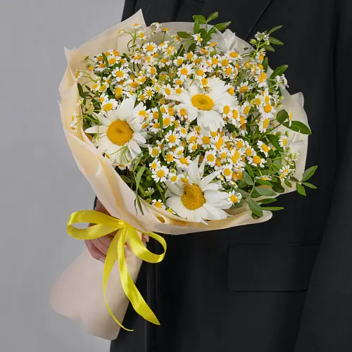 11 Ромашек Микс в упаковке 