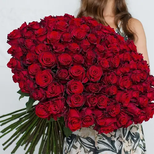 Букет из 101 Элитной розы Explorer (Эквадор)