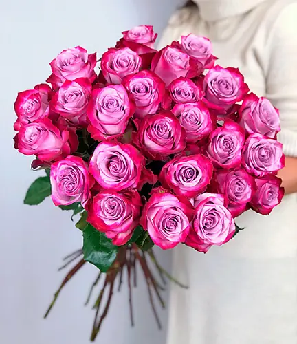 25 фиолетовых роз (Эквадор)