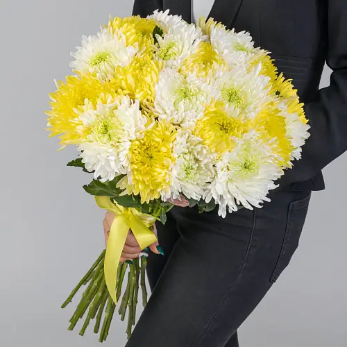 19 Бело-Желтых Игольчатых Хризантем