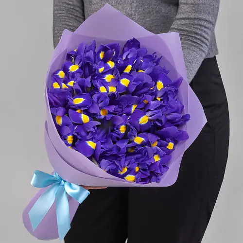 25 Ирисов в упаковке