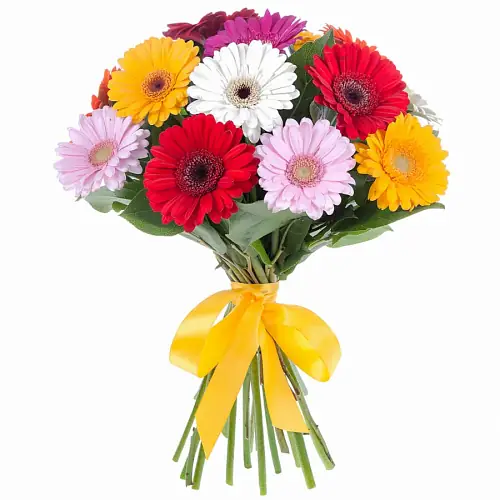 19 Разноцветных Гербер