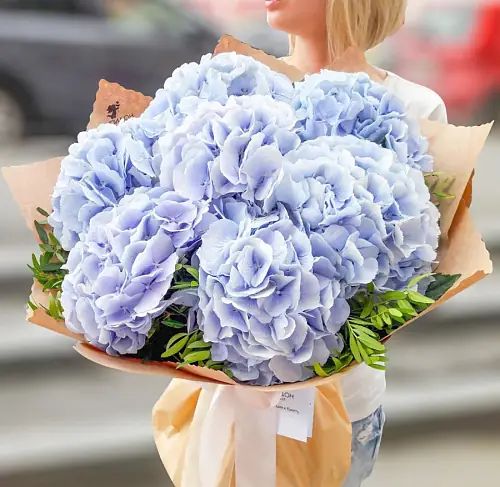 7 Небесных Гортензий