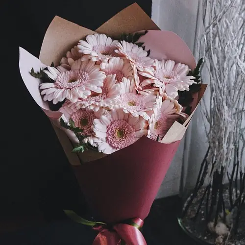 13 Розовых Гербер в упаковке 