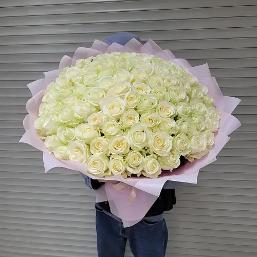 101 шикарная Белая роза