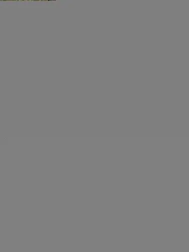 Букет 35 Розовых роз