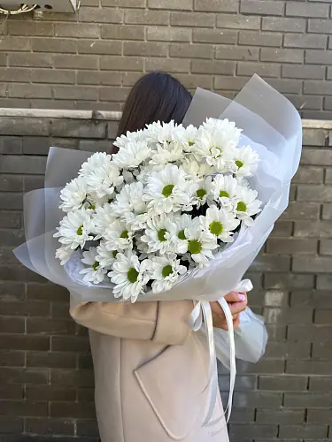 Букет живых цветов из 7 кустовых хризантем оформленный в дизайнерскую упаковку