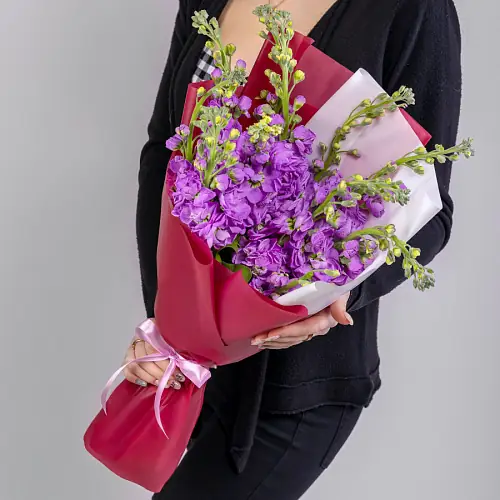 11 Фиолетовых Маттиол в упаковке