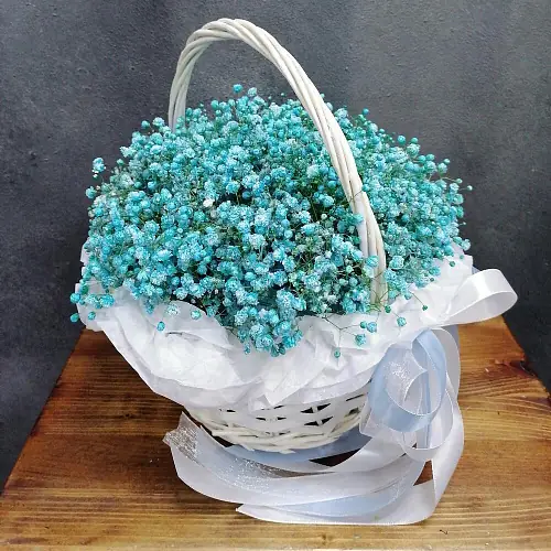 Бирюзовая Гипсофила в корзине
