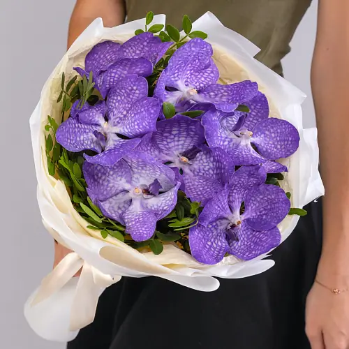   7 Орхидей Ванда 