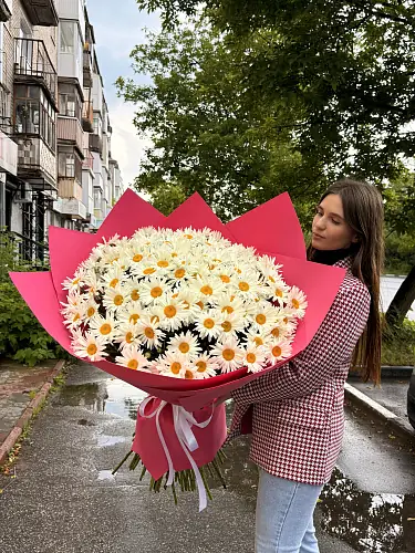 101 Ромашка в стильной упаковке