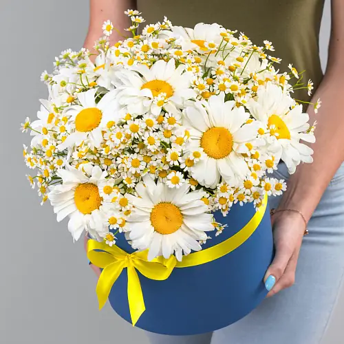23 Ромашек Микс в коробке