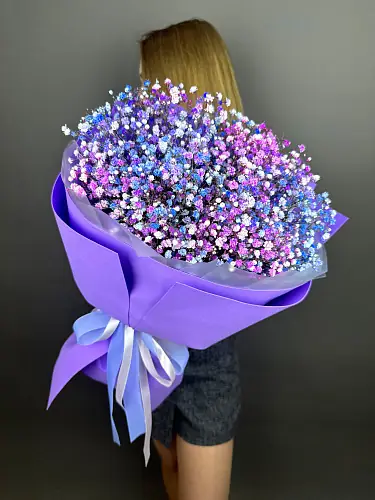 Гипсофила 5 шт