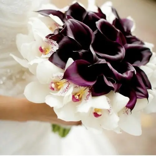 Букет из черных калл и орхидей
