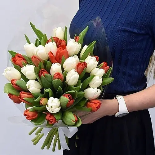 45 Тюльпанов красные и белые