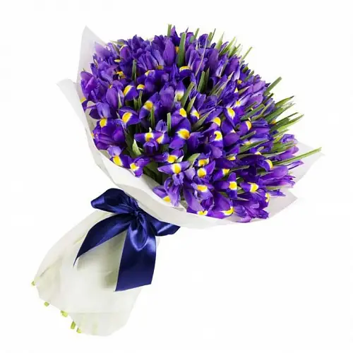 45 Ирисов в белой упаковке