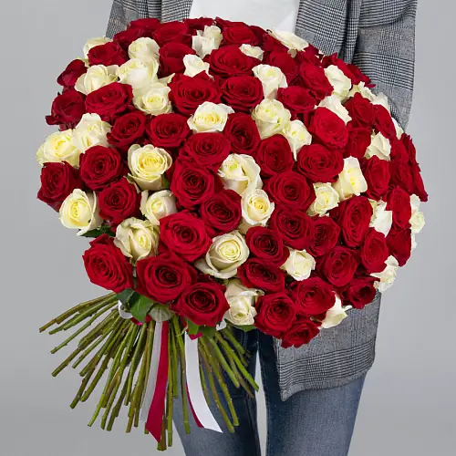 101 Красная и Белая Роза Эквадор 