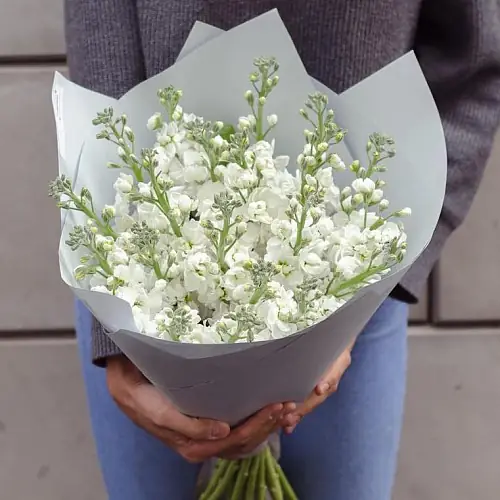 Букет "15 Белых Маттиол"