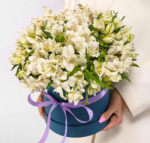 29 Белых Альстромерий в коробке