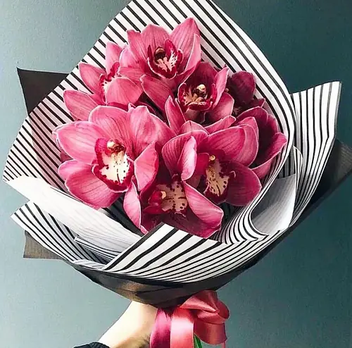 9 Малиновых Орхидей