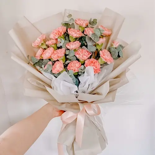 19 Персиковых Гвоздик